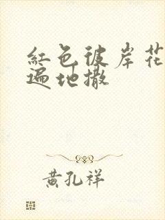 红色彼岸花花瓣遍地撒