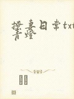 撩妻日常txt青灯