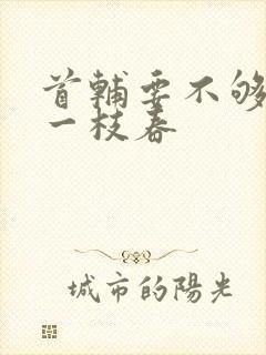 首辅要不够po一枝春