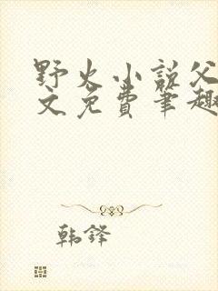 野火小说父女全文免费笔趣阁