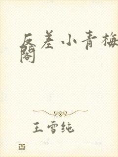 反差小青梅笔趣阁