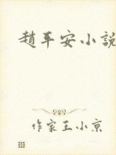 赵平安小说主角