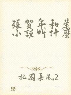 张贺年和叶繁姿小说叫什么名字