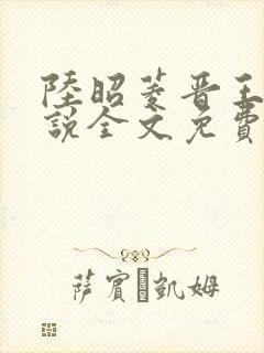 陆昭菱晋王的小说全文免费阅读