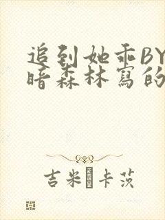 追到她乖BY黑暗森林写的小说