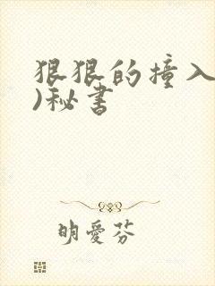 狠狠的撞入(h)秘书