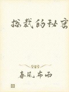 总裁的秘密情人