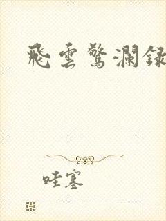飞云惊澜录