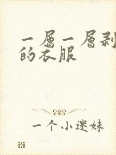 一层一层剥开我的衣服