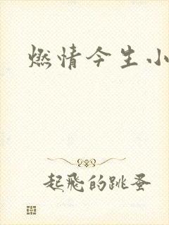 燃情今生小说