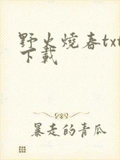 野火烧春txt下载