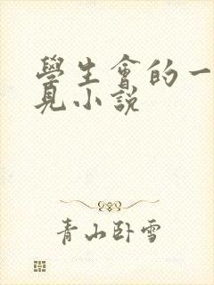 学生会的一己之见小说