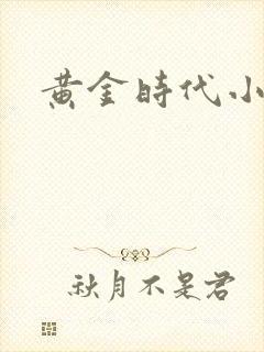 黄金时代小说