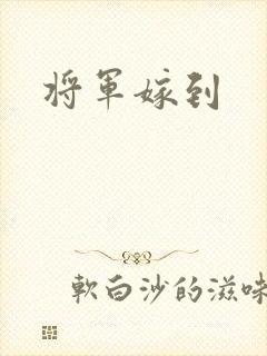将军嫁到