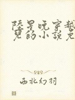 陆星晚穿越成婴儿的小说免费阅读全文