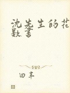 沈先生的花式调数书