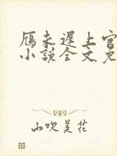 雁未迟上官穿越小说全文免费阅读