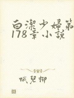 白洁少妇第1一178章小说