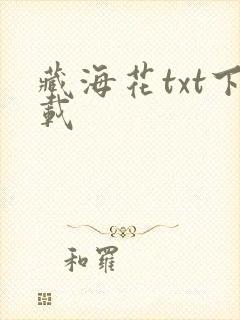 藏海花txt下载