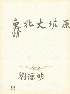 东北大坑原始激情