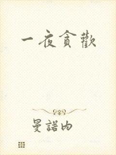 一夜贪欢