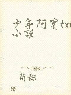 少年阿宾txt小说