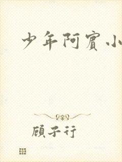 少年阿宾小说