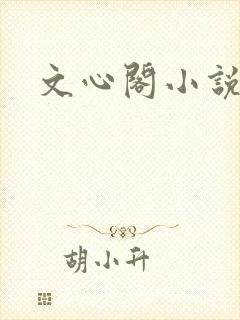 文心阁小说