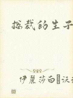 总裁的生子情人