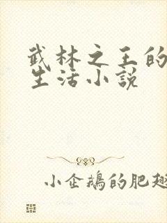 武林之王的退隐生活小说