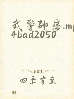 武警帅痞.mp4bad2050