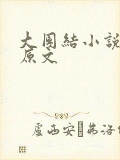 大团结小说阅读原文