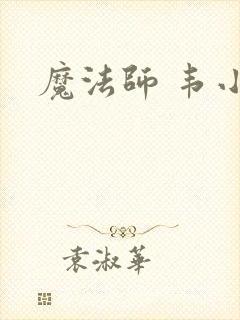 魔法师 韦小宝
