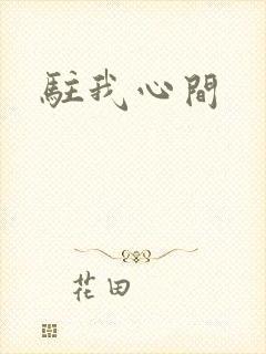 驻我心间