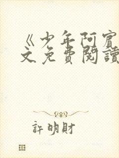 《少年阿宾》全文免费阅读