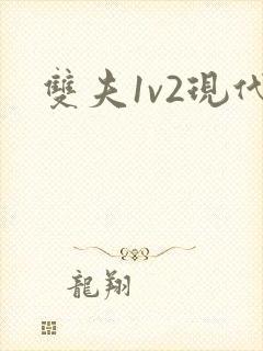 双夫1v2现代