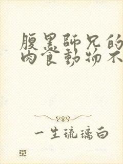 腹黑师兄的日常肉食动物不食草