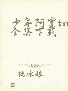 少年阿宾txt全集下载