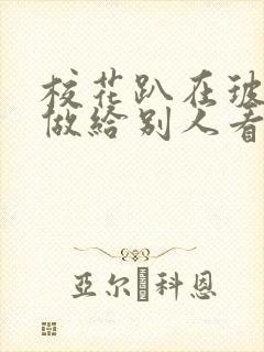 校花趴在玻璃窗做给别人看的作文