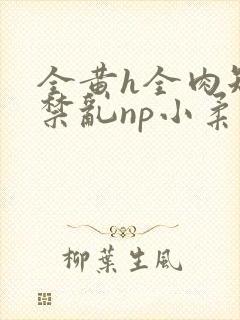 全黄h全肉短篇禁乱np小柔