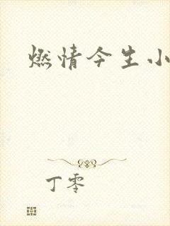 燃情今生小说