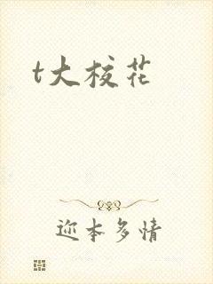 t大校花