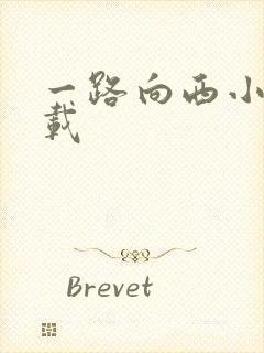 一路向西小说下载