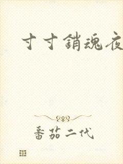 寸寸销魂夜春光