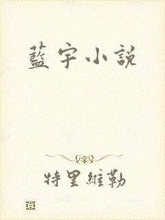 蓝宇小说