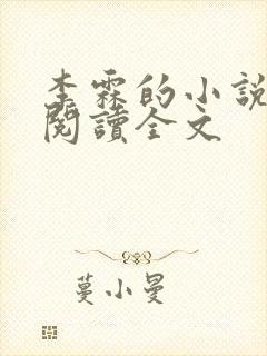 李霖的小说免费阅读全文