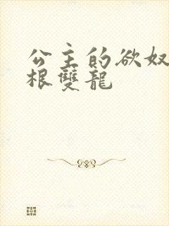 公主的欲奴h四根双龙