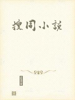 搜同小说