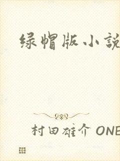 绿帽版小说