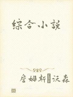 综合小说